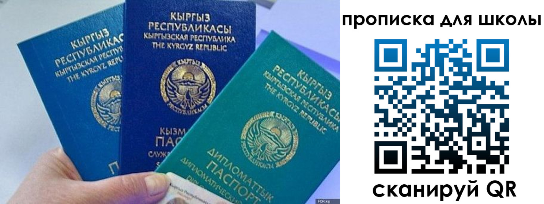 прописка регистрация в Похвистнево